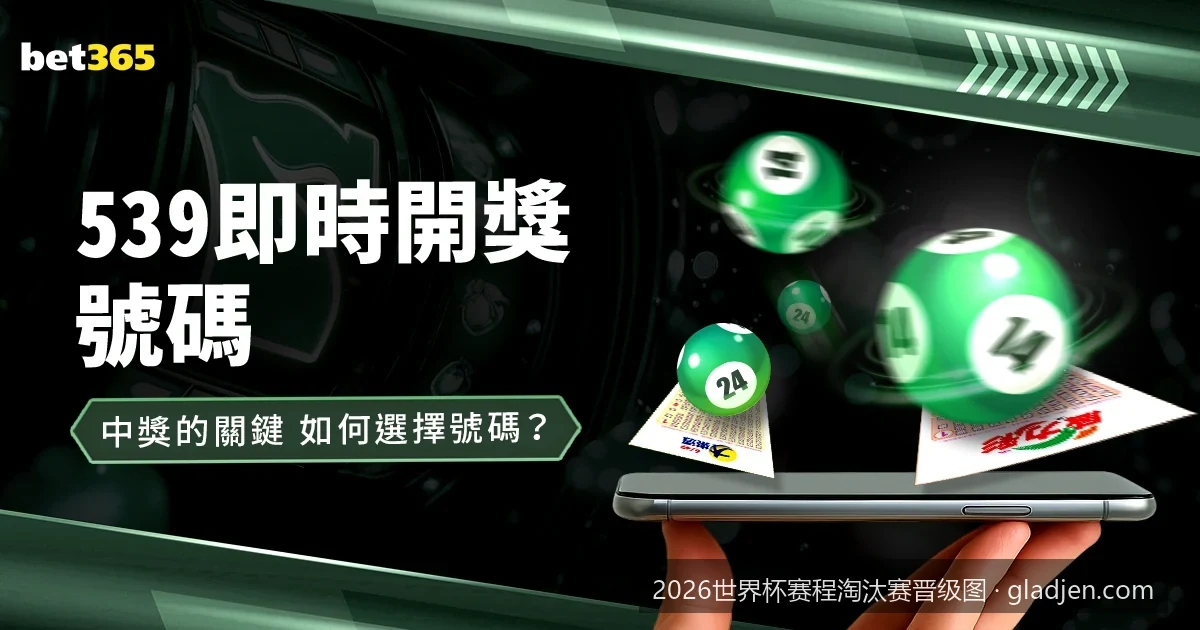 2026世界杯淘汰赛赛程时间表：从32强到决赛的关键对决时间